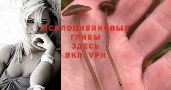 каннабис Зерноград