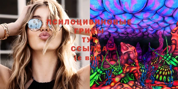 гашиш Аркадак